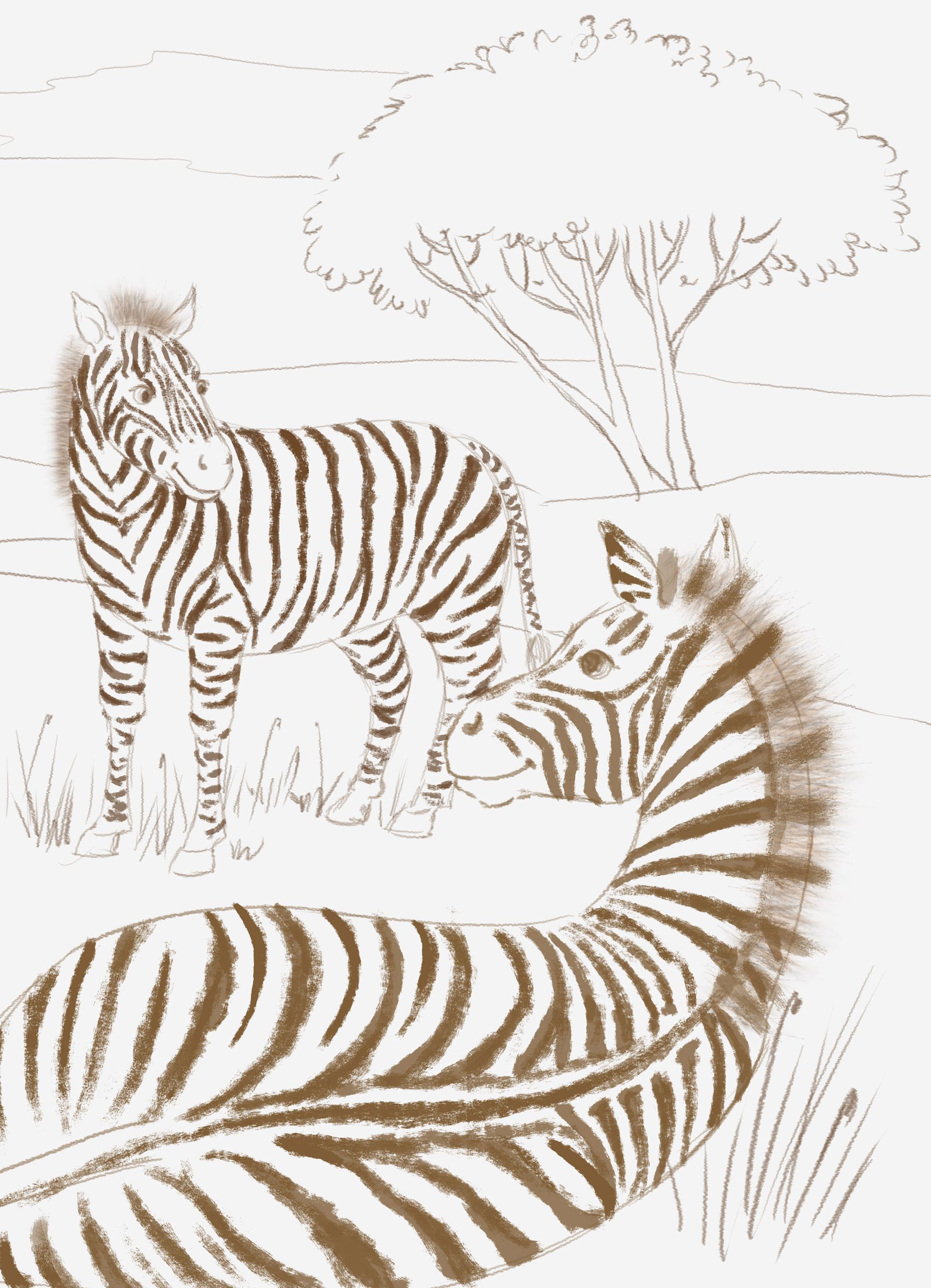Black and white tonal study stage of a zebra illustration.